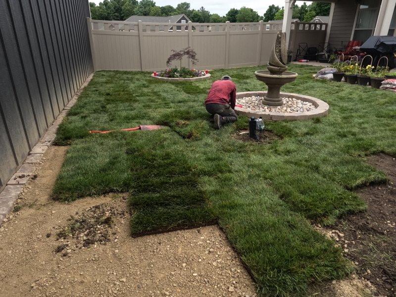 Front yard mulch and shrubs